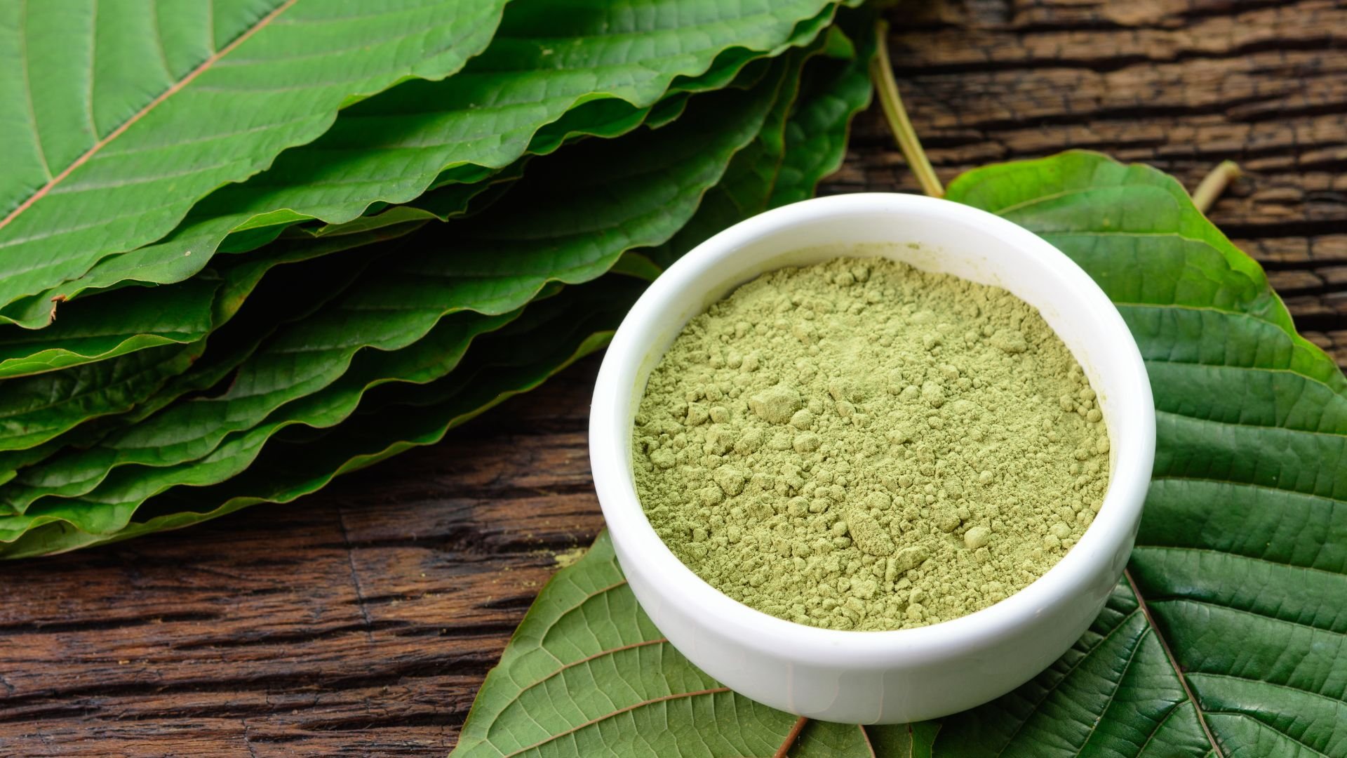 Green powder in white bowl on leaves, natural herbal supplement background
